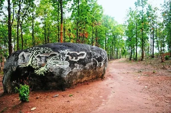 Pakhipahar inside jungle