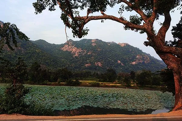 Mathaburu from Main Road