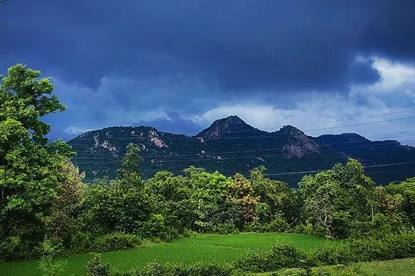 Mathaburu from Resort