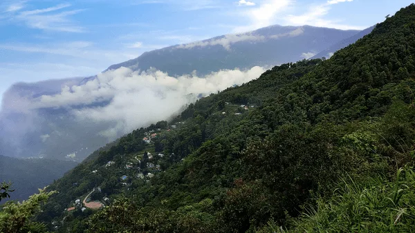 Simanadara from Cruss Dara